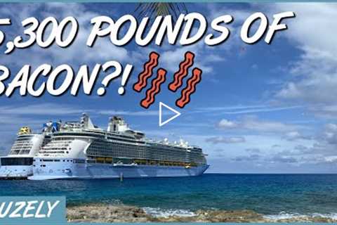11 INSANE Cruise Ship Facts Most People Don't Know