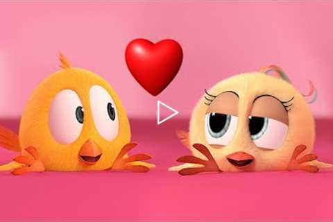 Where's Chicky? 💖 VACATION ROMANCE | Chicky Cartoon in English for Kids