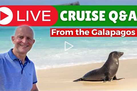 Live Cruise Q&A #81 from Ecuador Galapagos. Sunday 20 November 2022
