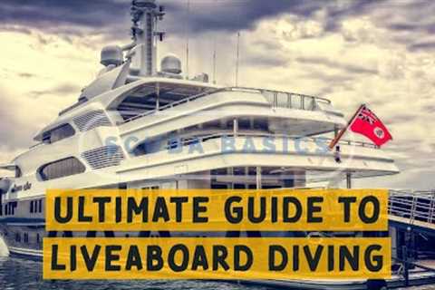 Scuba Diving Basics: A Divers Ultimate Guide To Liveaboard Diving