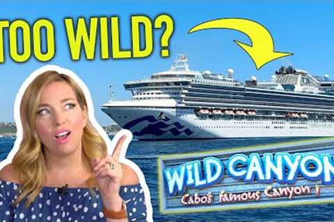 Sapphire Princess CRUISE Vlog - Is this Cabo Excursion *TOO* Wild?