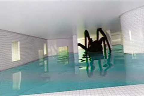 20 Scariest Swimming Pools In The World