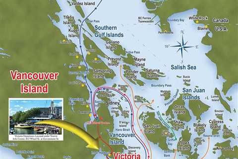 The Best Whale Watching Tours in Vancouver Island