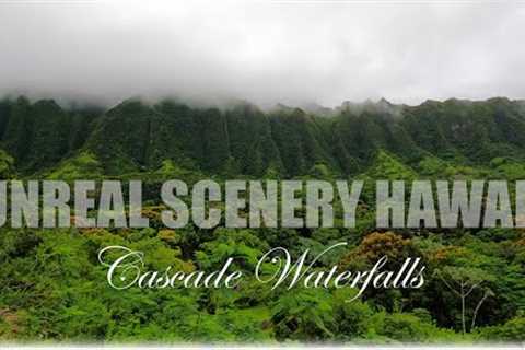 Unreal Scenery Hawaii🌴 Hoomaluhia Botanical Garden 🌈 Cascade Waterfalls ☘️ Beautiful H3 Freeway 🚍