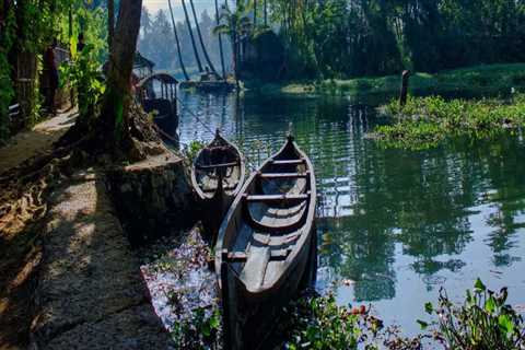 Uncover the Reasons Behind Kerala's Unique Charm: A Guide to What Makes it So Special