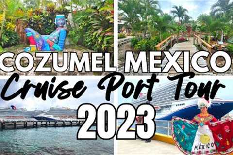 Cozumel Mexico Cruise Port 2023 Tour & Should You Book A Shore Excursion?