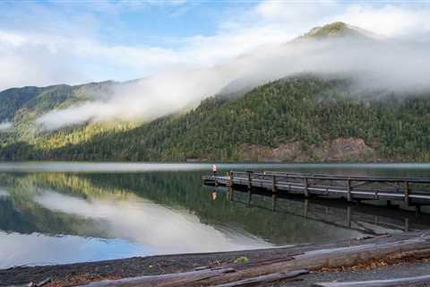 Olympic National Park in Winter: Things to Do + Tips for Visiting