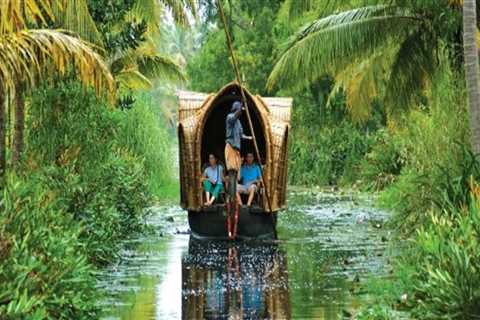 Top Tourist Sites in Kerala: A Guide for Exploring the Land of Spices