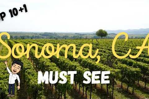 Best Wine Region in the US? / Travel Tips / Top 10+1 Sonoma, California