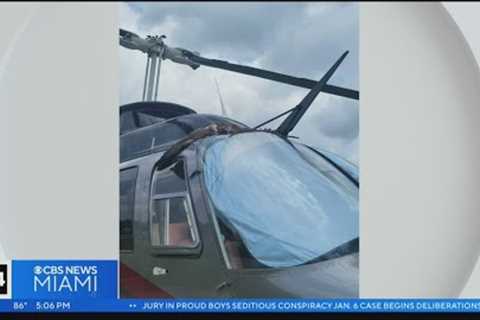Hawk collides with Chopper 4 mid-air, destroys window
