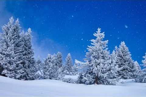 Beautiful Relaxing Music, Peaceful Soothing Instrumental Music, Winter Woods by Tim Janis
