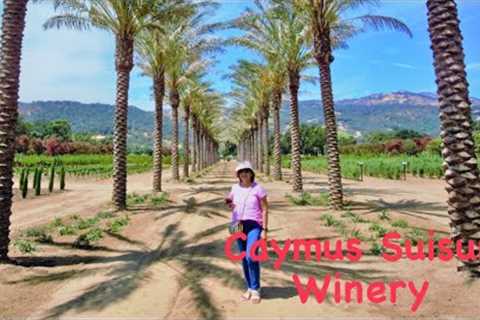 Caymus-Suisun Winery | Best Wine Tasting For $25.00 Near Napa Valley