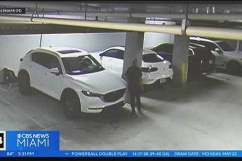 Safety alert issued after car burglary suspect caught on video