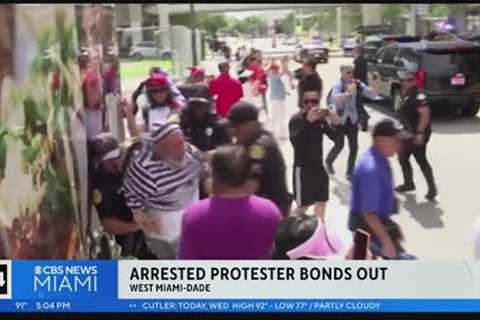Prison-costumed anti-Trump protestor released from jail
