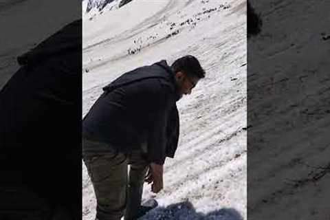 Kashmir Sona murg#youtube #shortsfeed #viralvideo #kashmir#trip#tripshorts