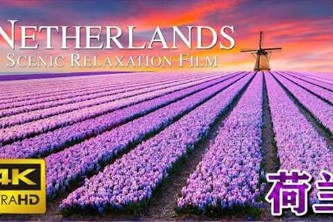 【4k】【3840x2160】- Drone Footage of the Netherlands: Relaxation and Scenic Beauty