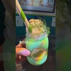 Exploring the Unique Flavors: The Pickle Milkshake at WDW – Would You Give It a Go?