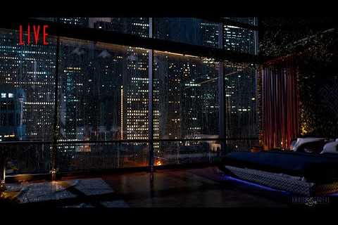 Spend 24/7 Live Stream In This Luxury Chicago Apartment | Rain On Window Sounds For Sleeping