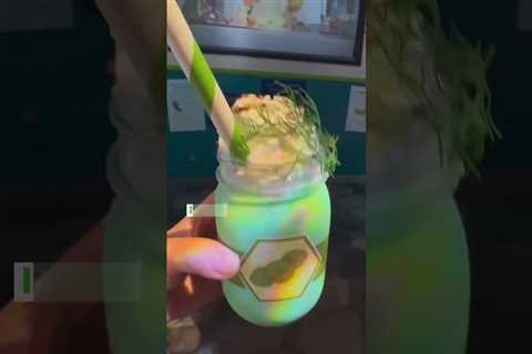 Exploring the Unique Flavors: The Pickle Milkshake at WDW – Would You Give It a Go?