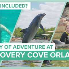 Exploring Discovery Cove Orlando: Join us on an Adventurous Journey!