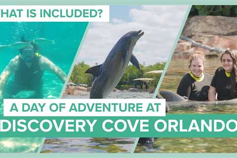 Exploring Discovery Cove Orlando: Join us on an Adventurous Journey!