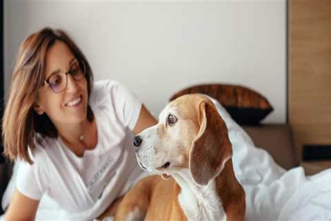 Pet-Friendly Hotels: A Comprehensive Overview