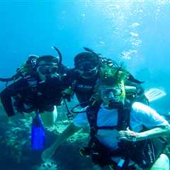 How PADI Club Can Help You Maintain Your Diver Status