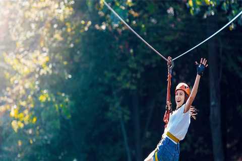 Experience the Thrill of Zip Lining in Northern Virginia