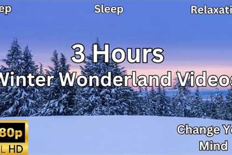 ❄️Winter Wonderland - Scenic Relaxation Film with Winter wonderland Videos Calming Music