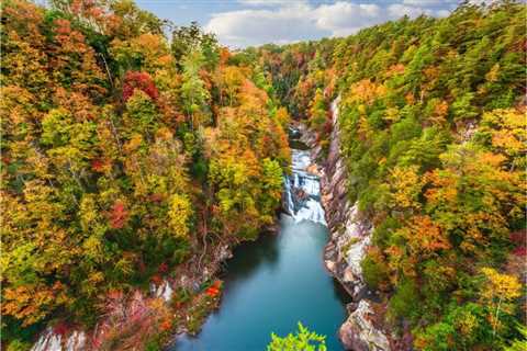 8 Best Places To Visit In Georgia In The Fall Season 2023