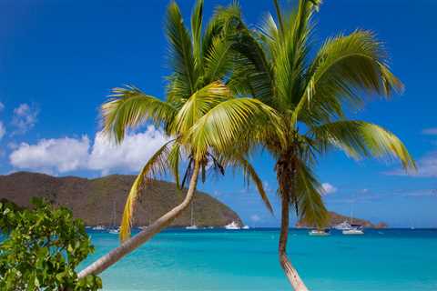 Explore the Most Secluded Beaches in the US Virgin Islands