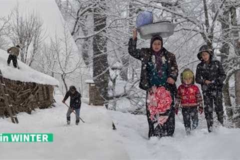 Life in Winter at Village of Talesh Mountains Episode Three | Country Life Series