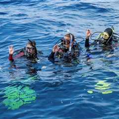 Are You Prepared for the Divemaster Course?