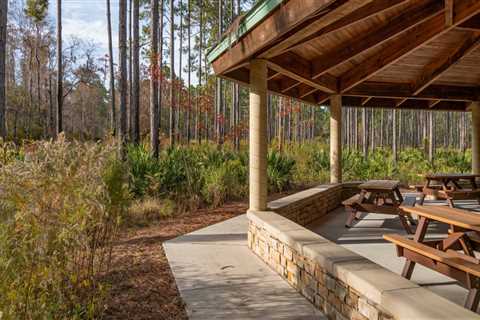 Picnic Areas Along Trails in Panama City, Florida - An Unforgettable Experience
