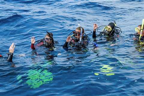 Are You Prepared for the Divemaster Course?
