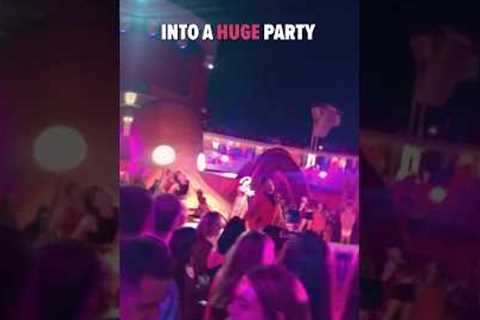 Wild Party Onboard a Cruise!!