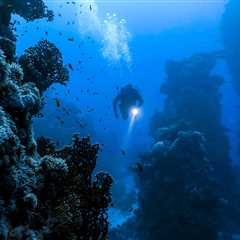 3 Reasons Deep Diver Should Be Your Next Specialty Course