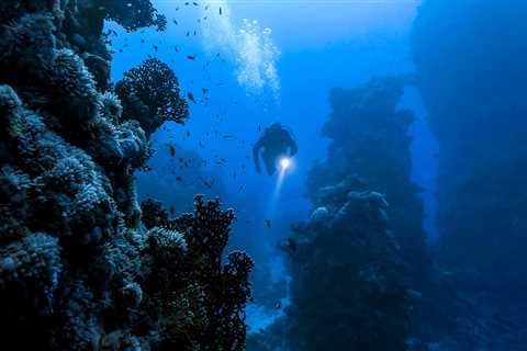 3 Reasons Deep Diver Should Be Your Next Specialty Course