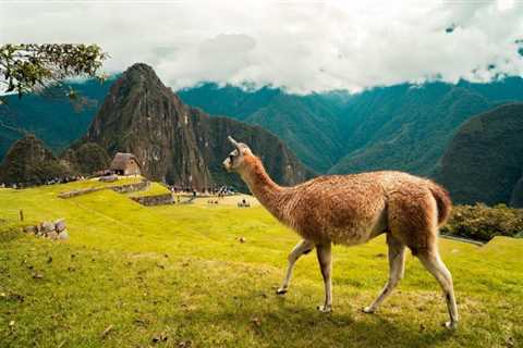 Flights from Rome / Milan to LIMA, PERU from €553