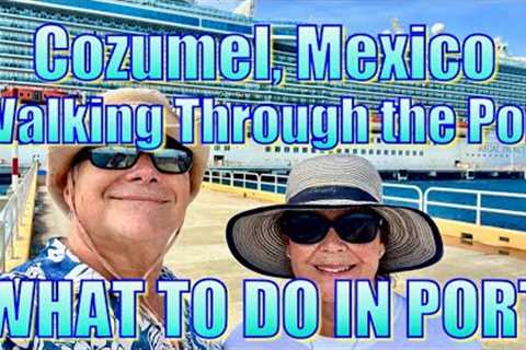 Cozumel  Mexico - Walking Through the Port - What to Do on Your Day in Port