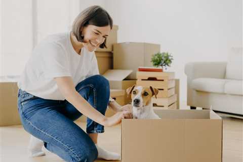Ultimate Guide to Moving with Pets: Tips, Tricks for a Smooth Transition