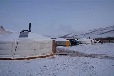 Winter Survival Skills of Mongolian Nomads: Navigating the Cold