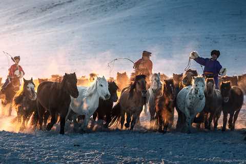 Interesting Facts About Mongolia: Unveiling Its Unique Charms