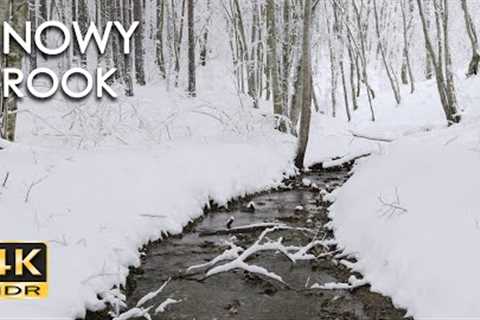 4K HDR Snowy Brook - Relaxing River Sounds - Peaceful Snow & Forest Stream - Flowing Water..