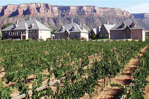 Exploring Educational and Informational Programs at Wineries in Wheat Ridge, Colorado
