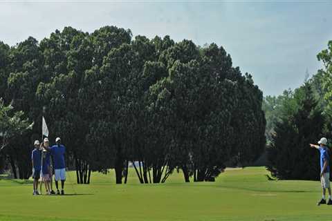 Golf Lessons and Clinics in Northwest Louisiana: Get Ready to Improve Your Game!