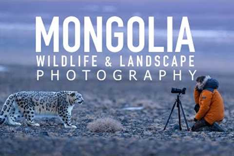 Photographing Snow Leopards & Landscapes in Mongolia