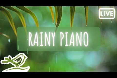 Rainy Piano Radio 🌧️ Relaxing Music with Rain Sounds 24/7