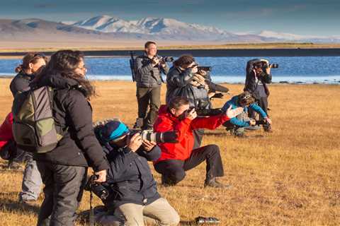 Mongolian Adventure Photography: Capturing the Wild Beauty