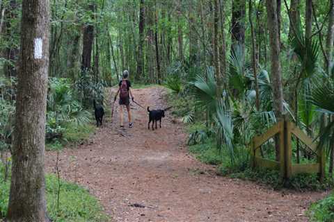 Exploring Dog-Friendly Trails in Panama City Beach, Florida